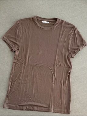 Zara Men’s Brown Short Sleeve Crew Neck Tee